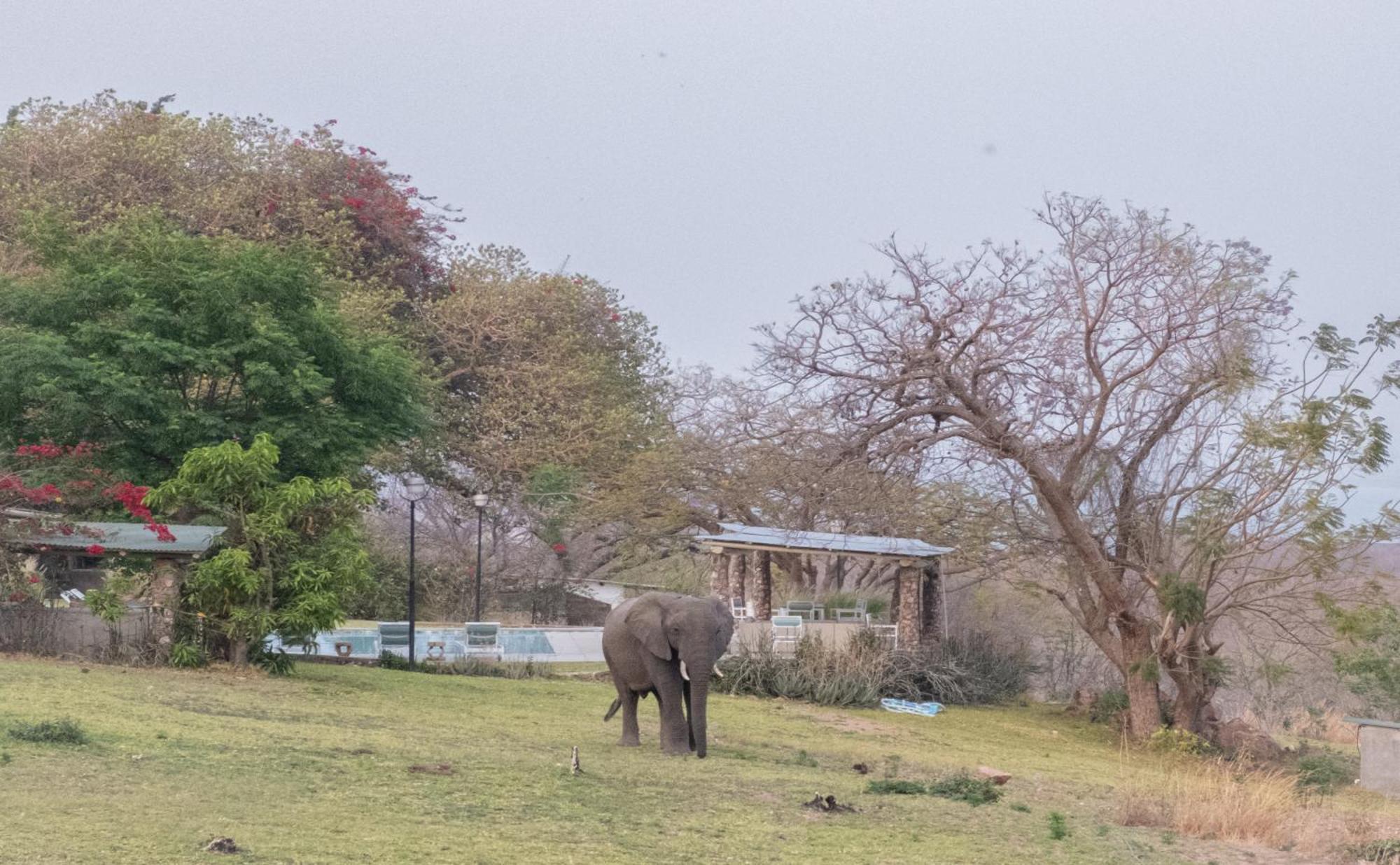 Musungwa Safari Lodge Shanjungu Zewnętrze zdjęcie